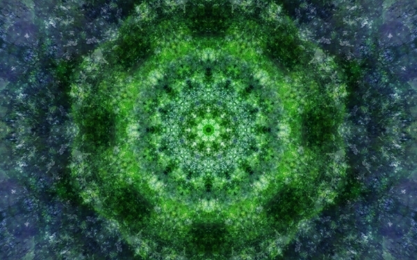 Emitting-Velocity-Mohican-Forest-Still-10-600x375