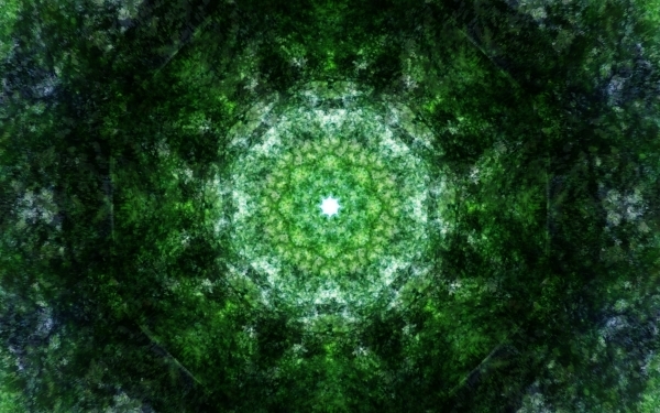 Emitting-Velocity-Mohican-Forest-Still-15-600x375