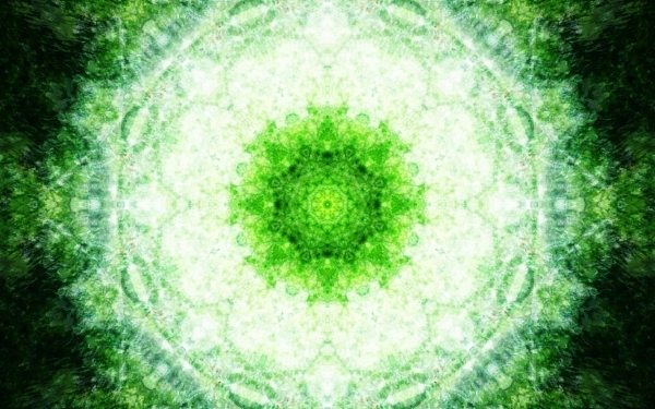 Emitting-Velocity-Mohican-Forest-Still-17-600x375