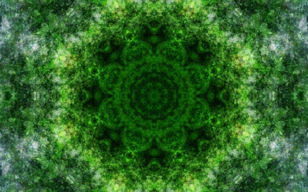 Emitting-Velocity-Mohican-Forest-Still-5-768x432