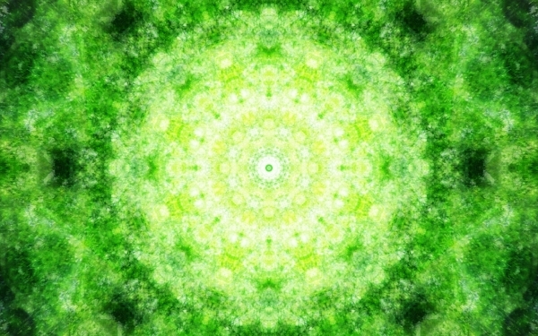 Emitting-Velocity-Mohican-Forest-Still-7-600x375
