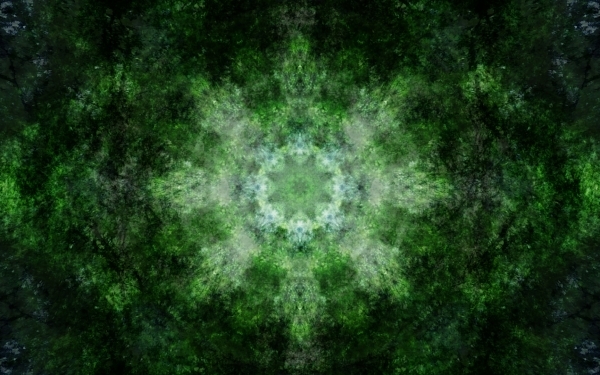 Emitting-Velocity-Mohican-Forest-Still-9-600x375