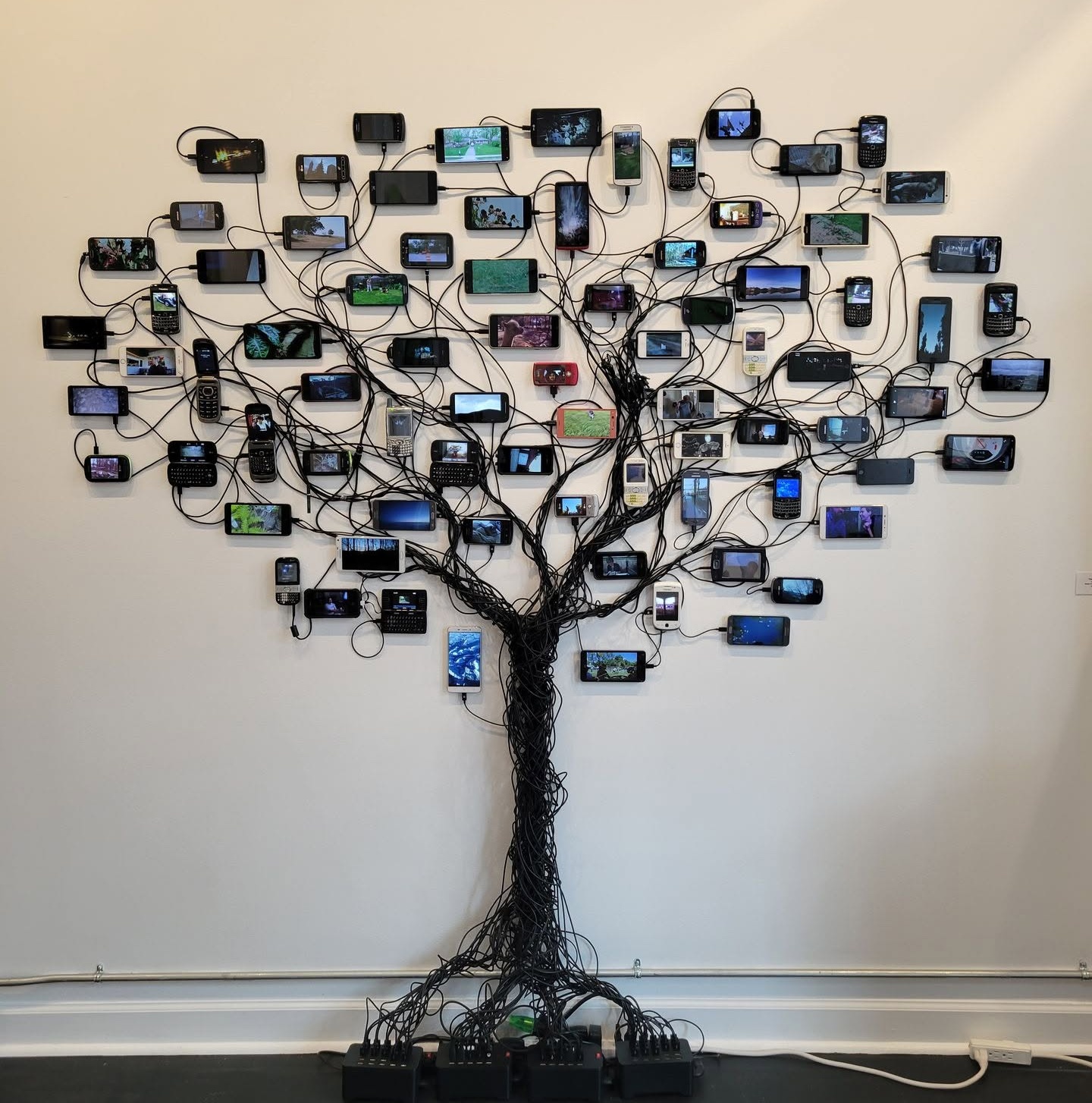 Tree of Knowledge by Nikki Swift - cell phone video sculpture install at RAW Gallery on 2024