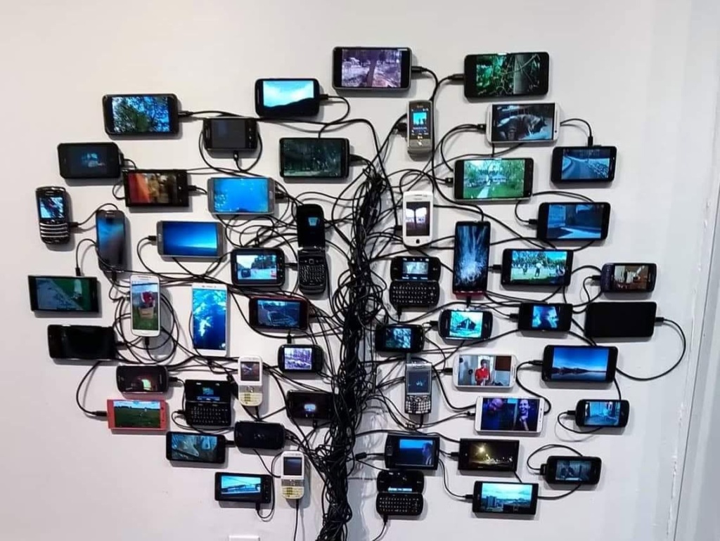 Tree of Knowledge by Nikki Swift - cell phone video installation at Pennington Custom Art Services in 2022.