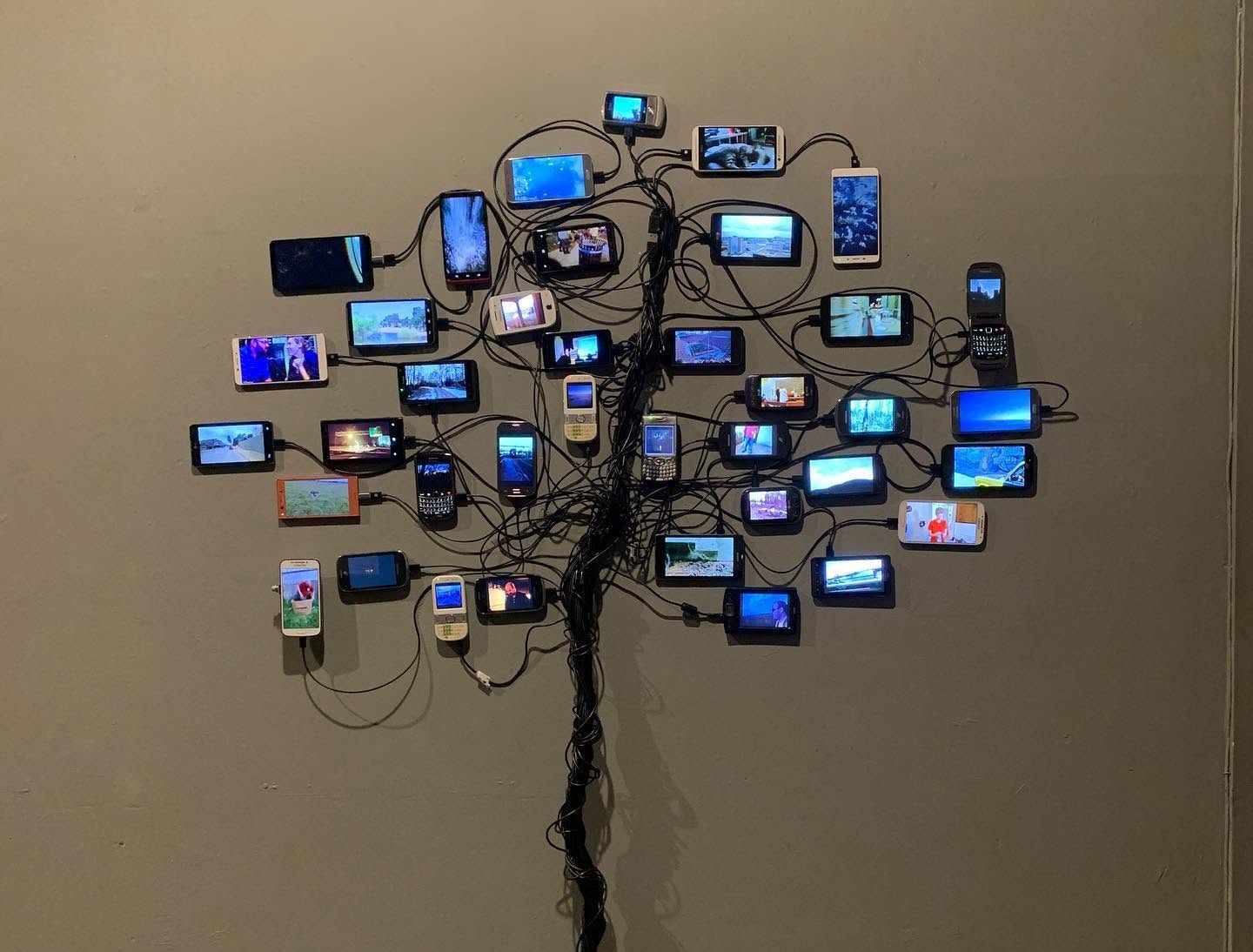 Tree of Knowledge by Nikki Swift -cell phone video sculpture at the Vanderelli room 2020